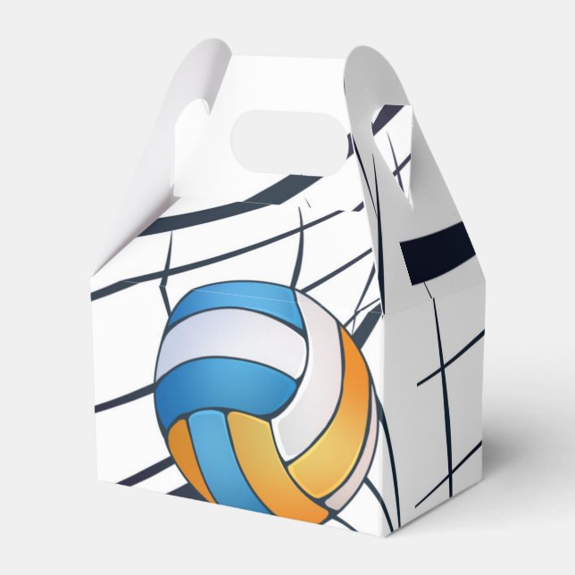 Volleyball Theme Birthday Party  Favor Box (Front Side)