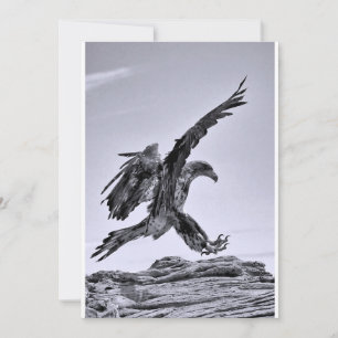 Vols à ma fête - Invitation