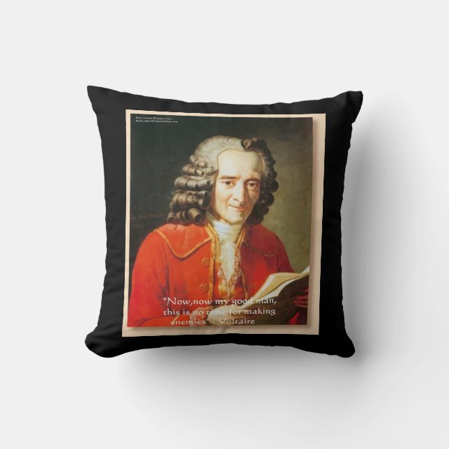 Voltaire "Making Enemies" Quote Rickshaw Throw Pil Pillow (Front)