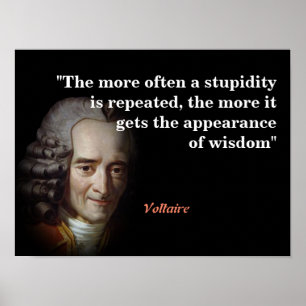 Voltaire Quote On Stupidity And Wisdom Poster