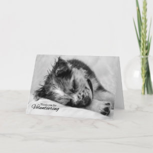 Volunteer Thank You Cute Puppy Sleeping Card