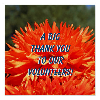 Volunteer Posters | Zazzle Canada