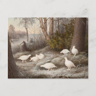 Von Wright’s art postcard