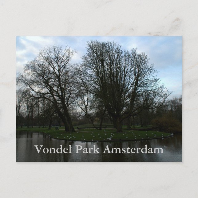 Vondelpark, Amsterdam Postcard (Front)