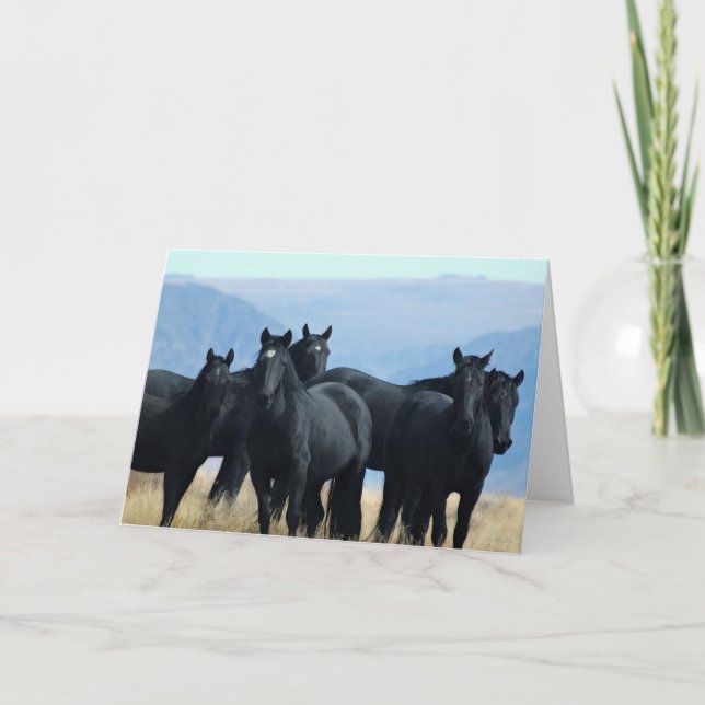 Voodoo Band Greeting Card (Front)