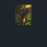 Voodoo Lily: Toxic Elegance Impressionist Art Canvas Print<br><div class="desc">A masterfully rendered painting of the Amorphophallus, notoriously known as the Voodoo Lily. Part of the 'Toxic Elegance' collection, this piece captures the massive, velvet-textured burgundy spathe and central spadix with thick, expressive impasto-style brushwork. Bathed in a dramatic, atmospheric light that creates a warm, internal radiance against deep, velvety shadows,...</div>