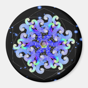 Vortex of Vitality Magnet