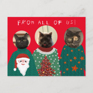 Vos 3 chats dans les affreux pulls de Noël Carte p