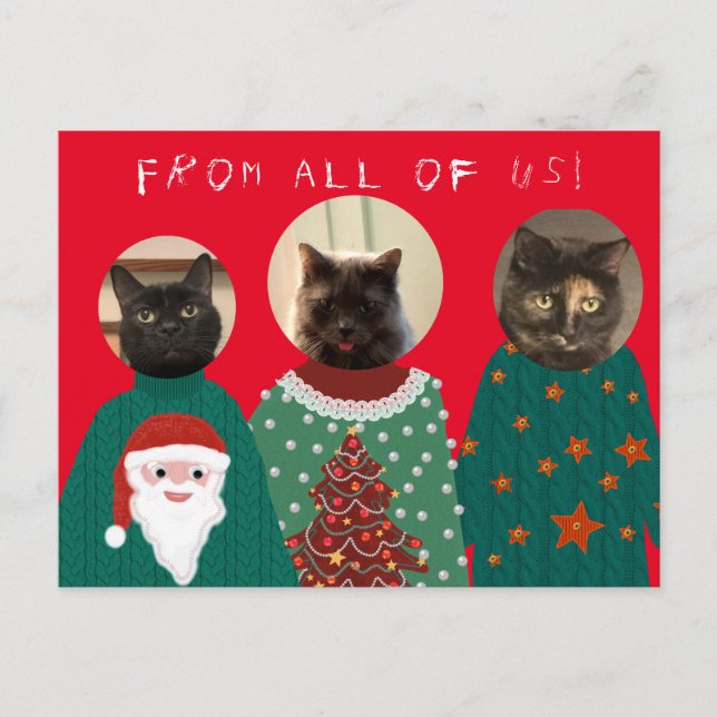 Vos 3 chats dans les affreux pulls de Noël Carte p (Devant)