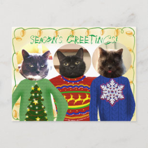 Vos 3 chats dans une carte postale de Noël moche