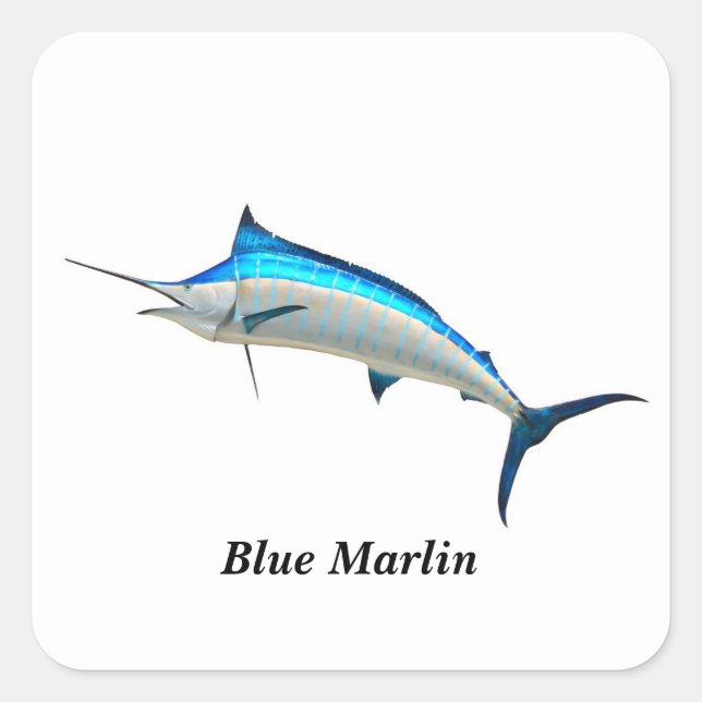 Vos Autocollants Carrés personnalisés Blue Marlin (Devant)