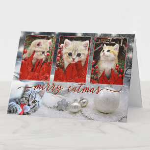 Vos Photos Chat Noël Carte Nouvel An