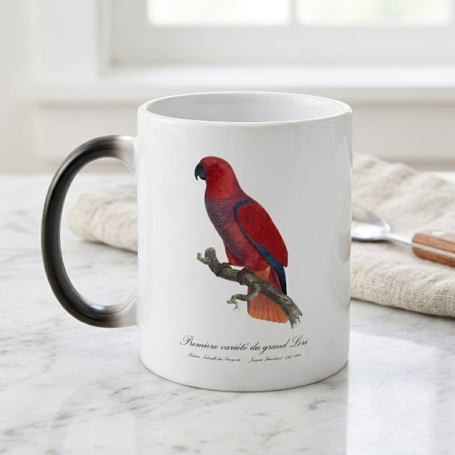 Vosmaer Eclectus Parrot, Eclectus Roratus Vosmaeri Magic Mug (Vosmaer Eclectus Parrot, Eclectus Roratus Vosmaeri. Color Morph Mug)