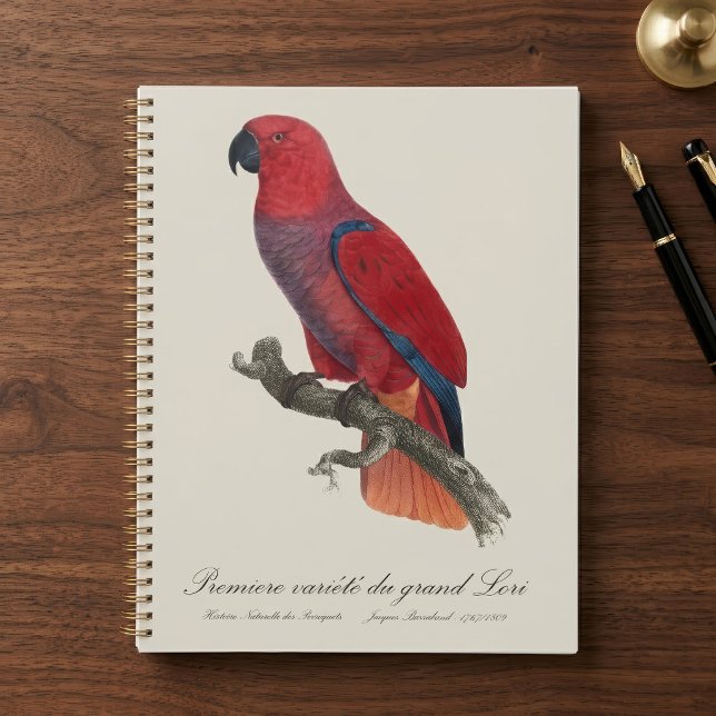 Vosmaer Eclectus Parrot, Eclectus Roratus Vosmaeri Planner (Vosmaer Eclectus Parrot, Eclectus Roratus Vosmaeri. Planner)