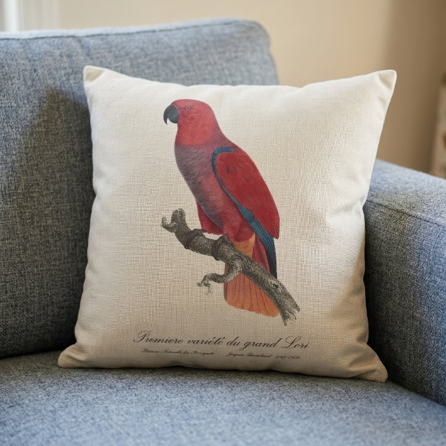 Vosmaer Eclectus Parrot, Eclectus Roratus Vosmaeri Throw Pillow (Vosmaer Eclectus Parrot, Eclectus Roratus Vosmaeri. Throw Pillow )