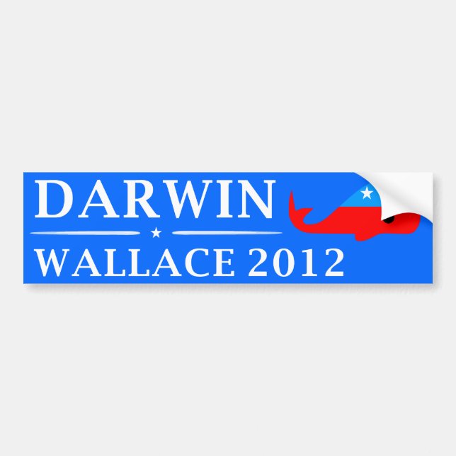 Vote Darwin & Wallace in 2012 Bumper Sticker (Front)