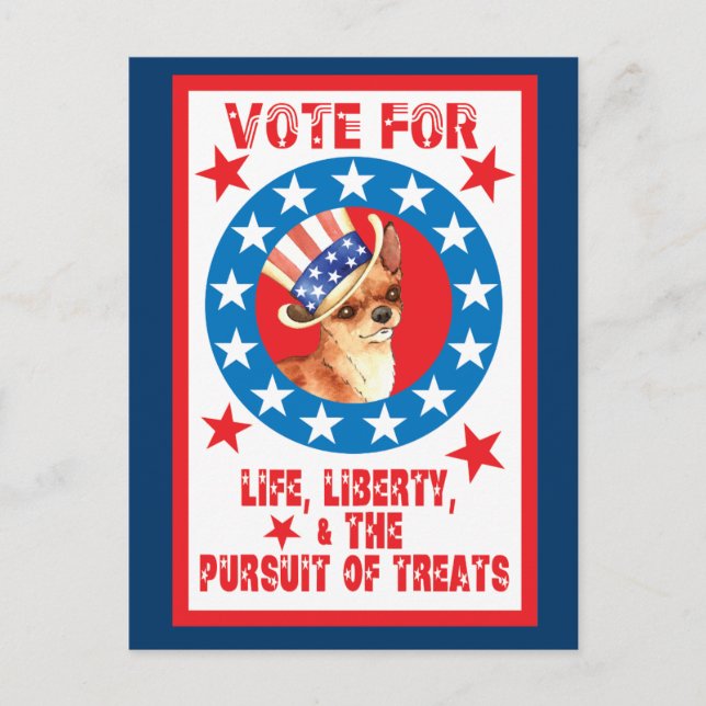 Vote for Chihuahua Postcard (Front)