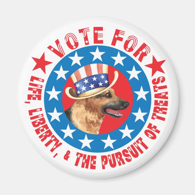 Vote for GSD Magnet (Front)