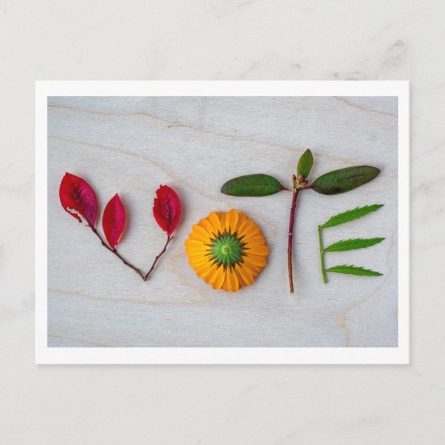 Vote Postcard (Front)