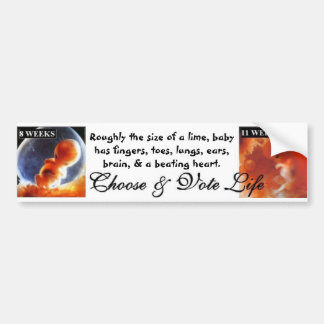 Vote Pro Life: They can't protect themselves Bumper Sticker
