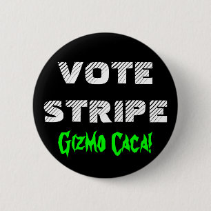 VOTE STRIPE 2 INCH ROUND BUTTON