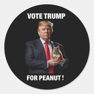 Vote Trump For Peanut The Squirrel 3 Classic Round Sticker