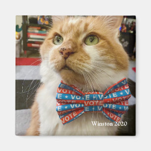 Vote Winston Magnet
