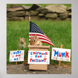 Votez 'Munk ! Affiche