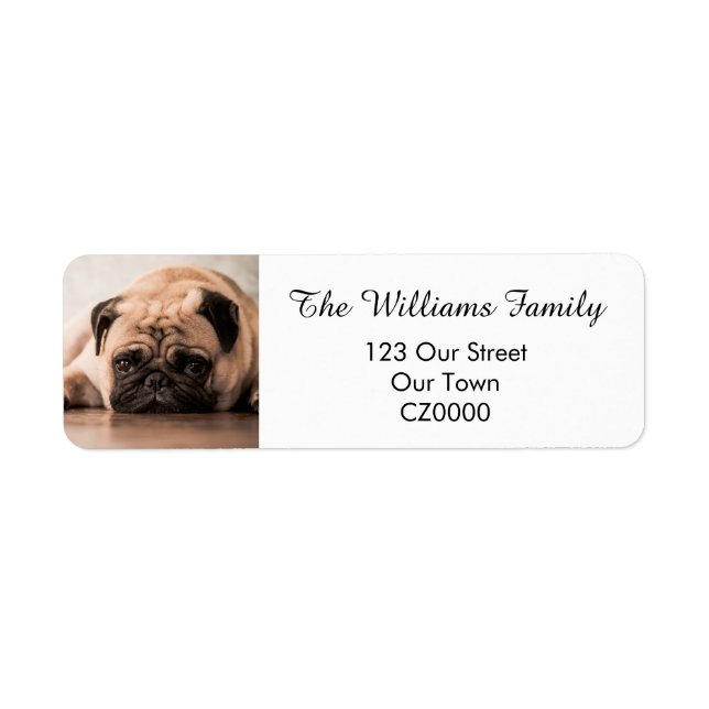 Votre adresse photo personnalisée pour animal de c (Devant)