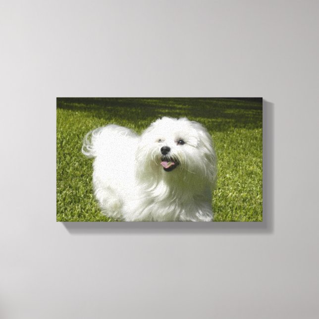 Votre animal de compagnie sur une toile étirée (Recto)