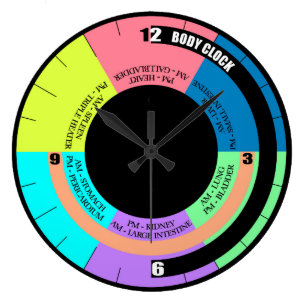 Votre bio horloge murale de corps