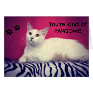 Votre carte d'amour de Pawsome