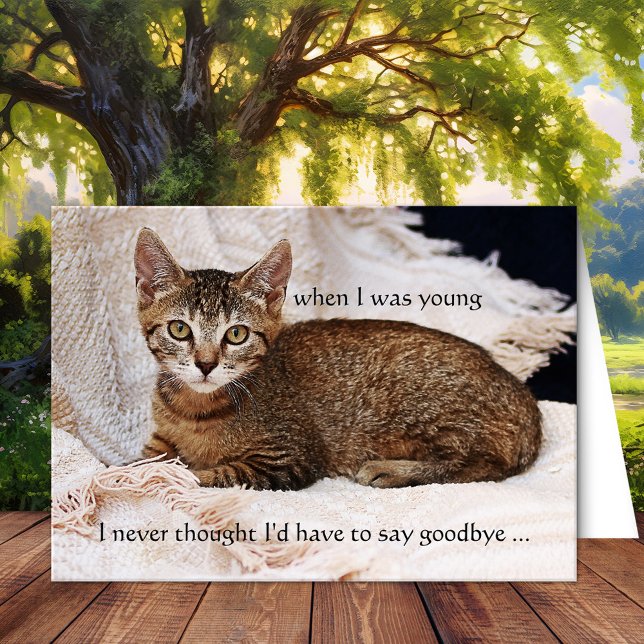 Votre Carte de voeux de Sympathie Photo Chat (Cat sympathy custom photo condolences greeting card)