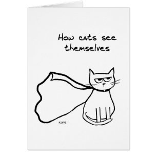 Votre chat le super héros - cadeau drôle de chat