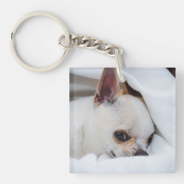 Votre chiot chien de compagnie photo personnalisée (Devant)