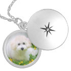 Votre de photo collier ici