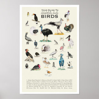 Votre guide des oiseaux de toiture 11x17 Poster
