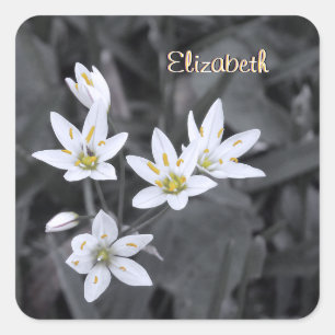 Votre nom Stickers photo en cluster Fleur sauvage