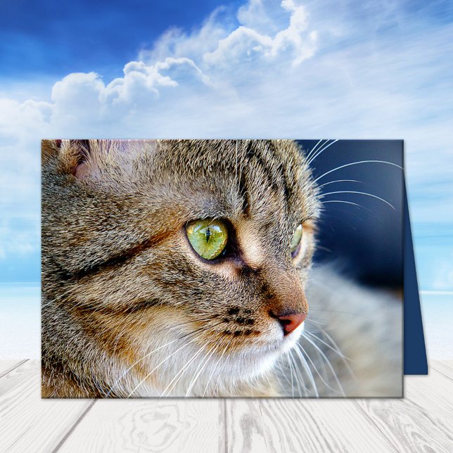 Votre Photo Cat Condresse La Carte De Voeux Sympat (A beautiful cat sympathy card featuring your own photo (optional) with custom comforting texts)