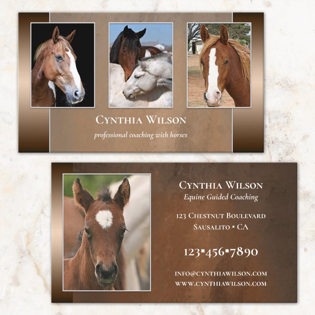Votre photo Cheval Stables ou Coaching Carte de vi (Créateur téléchargé)