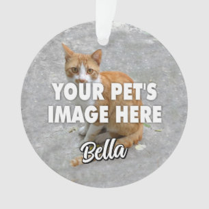 Votre photo de chat
