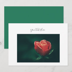 Votre texte Jolie Fleur de Rose Rouge Invitation