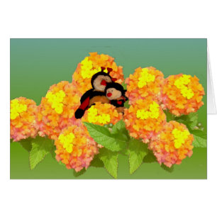 Voulez au beee avec vous