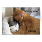 Vous aimer, Toujours 036