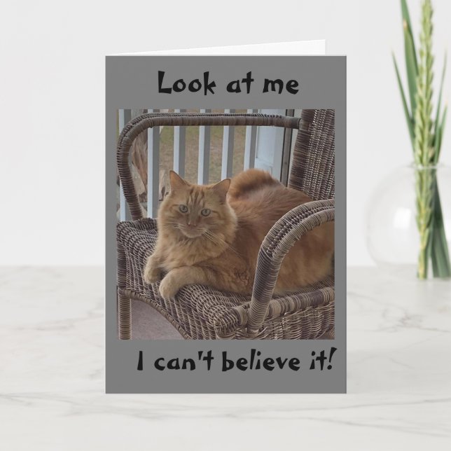 VOUS AVEZ "12 ANS" DIT SURPRISE CARTE CHAT (Devant)