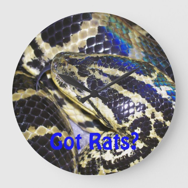 Vous avez des rats ? Horloge Anaconda (Recto)