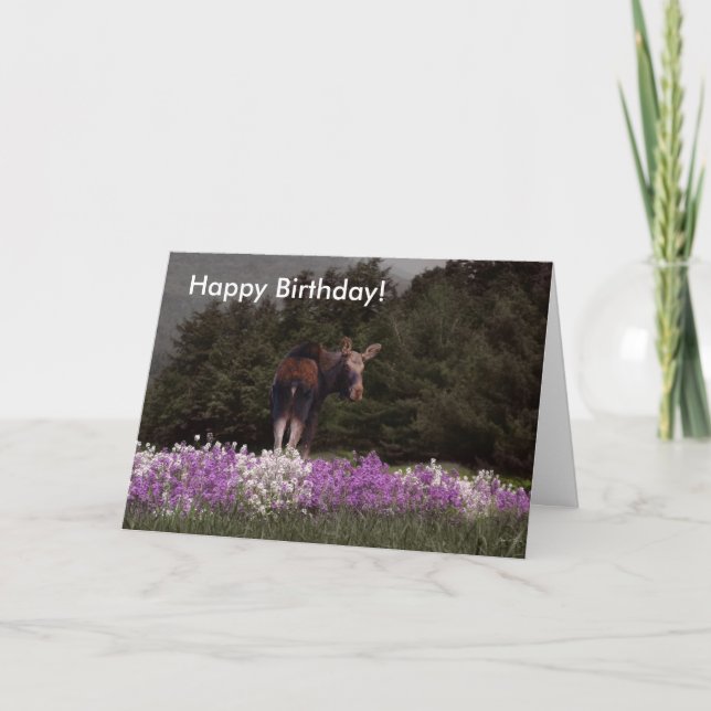 Vous avez été Mooné par une orignale ! Carte d'ann (Devant)