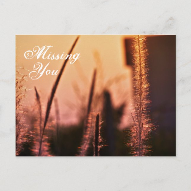 Vous avez manqué - cartes postales (Devant)
