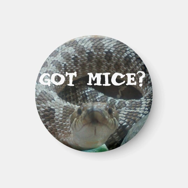 Vous avez Mice ? Aimant de nez (Devant)