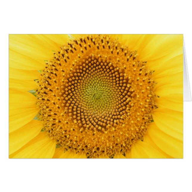 Vous envoyant un sourire (Devant horizontal)